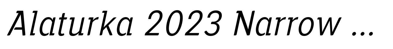 Alaturka 2023 Narrow Light Italic